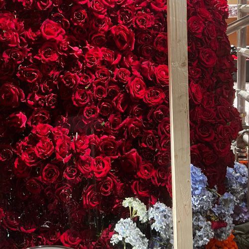 Escaparatismo Floral Diada de Sant Jordi | Thaís Canals